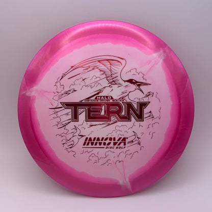 Innova Tern