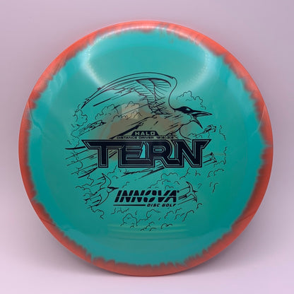 Innova Tern