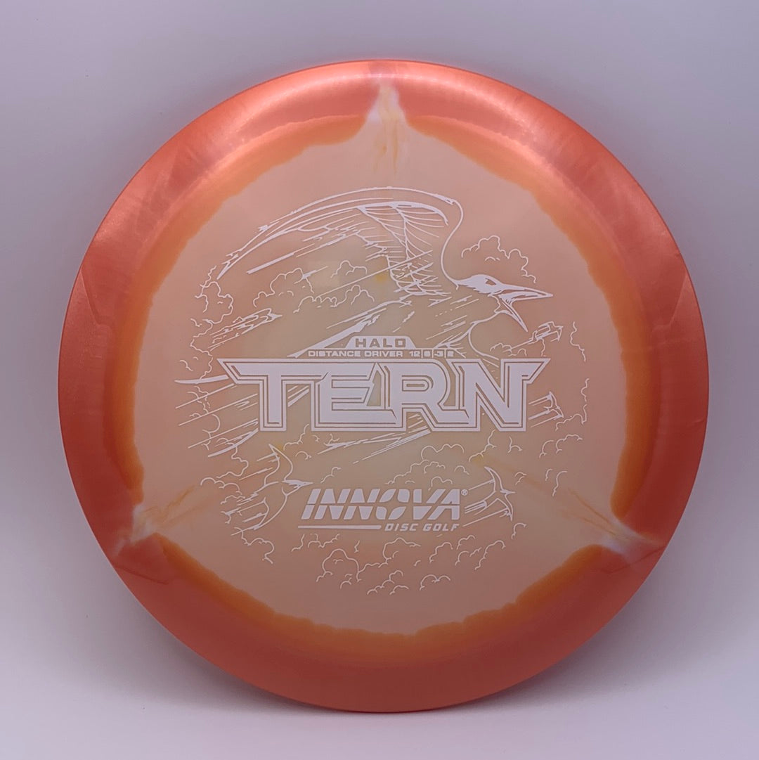 Innova Tern